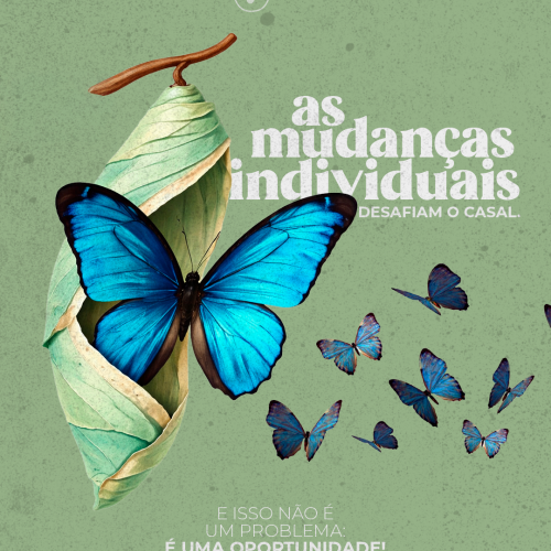 mudanças individuais na terapia de casal
